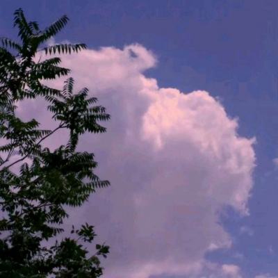 澳门威斯尼斯WNS888入口app下载